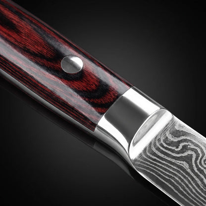 Professional Kitchen Knife Set with Damascus Pattern Blades